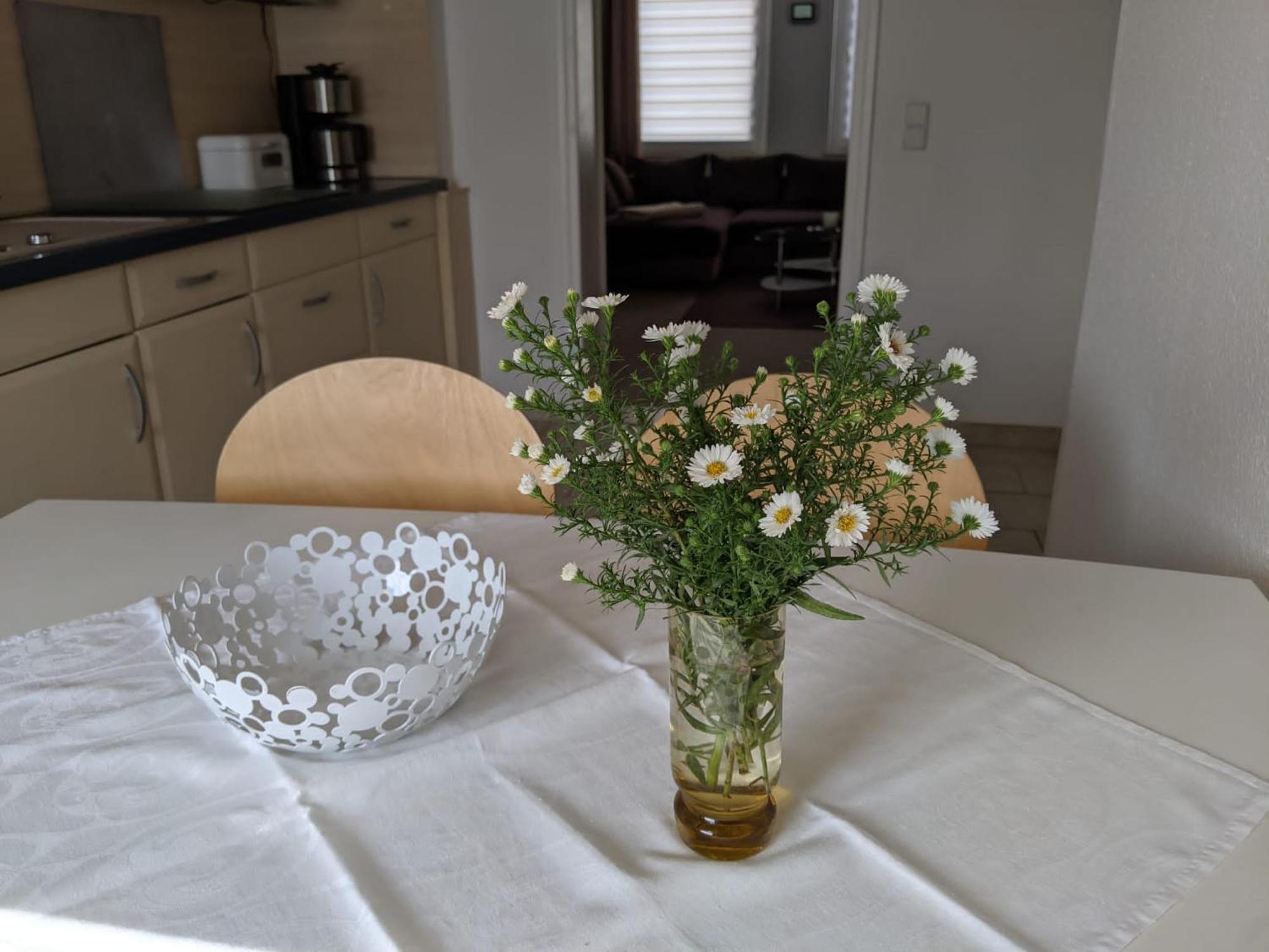 Ferienwohnung Am Ueckerpark Иккермюнде Экстерьер фото